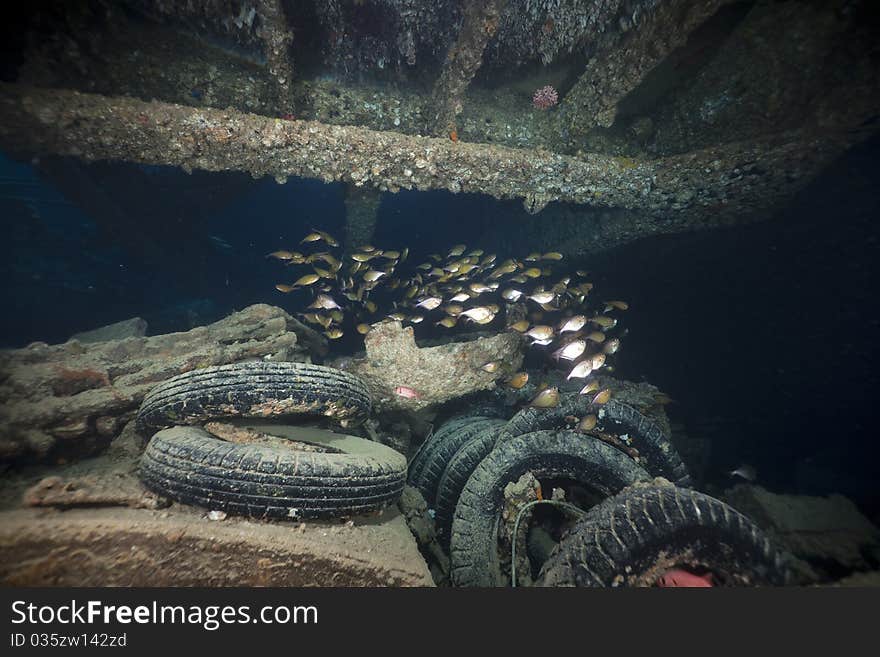 Cargo of the SS Thistlegorm.