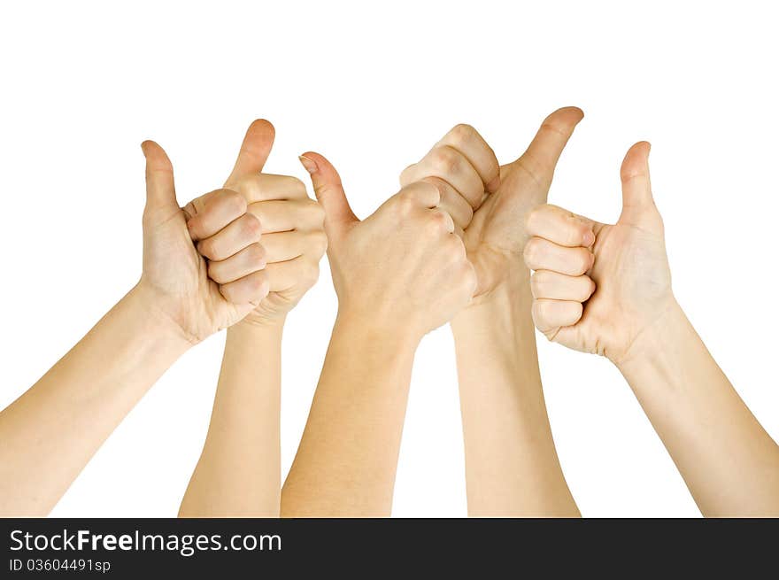 Many woman's hand lifted up on white background. Many woman's hand lifted up on white background