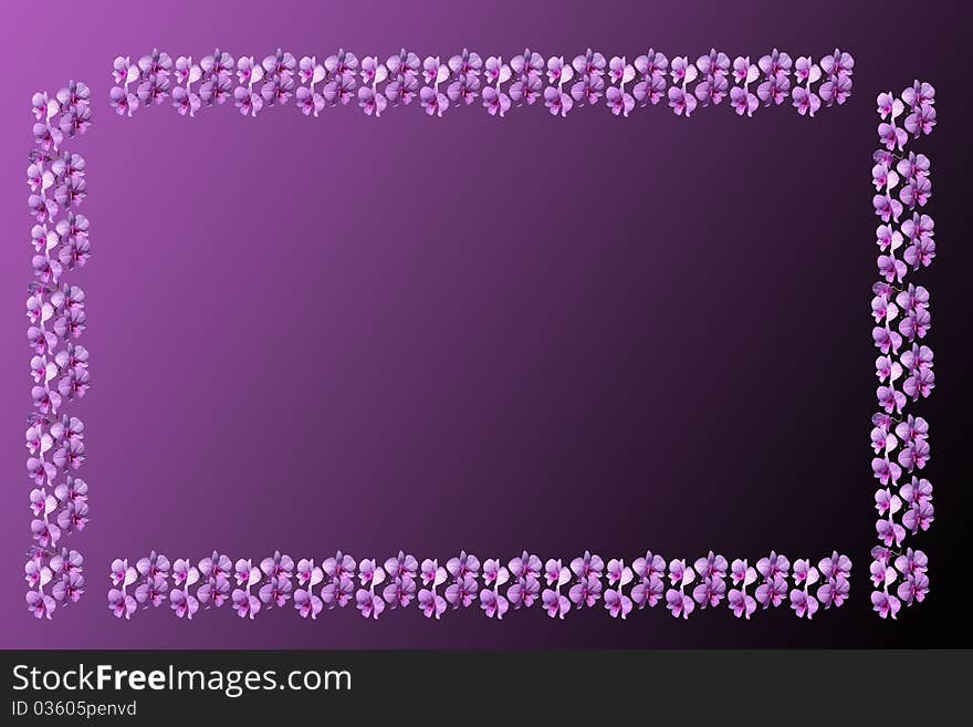 Purple
 orchid petal border on Purple. Purple
 orchid petal border on Purple