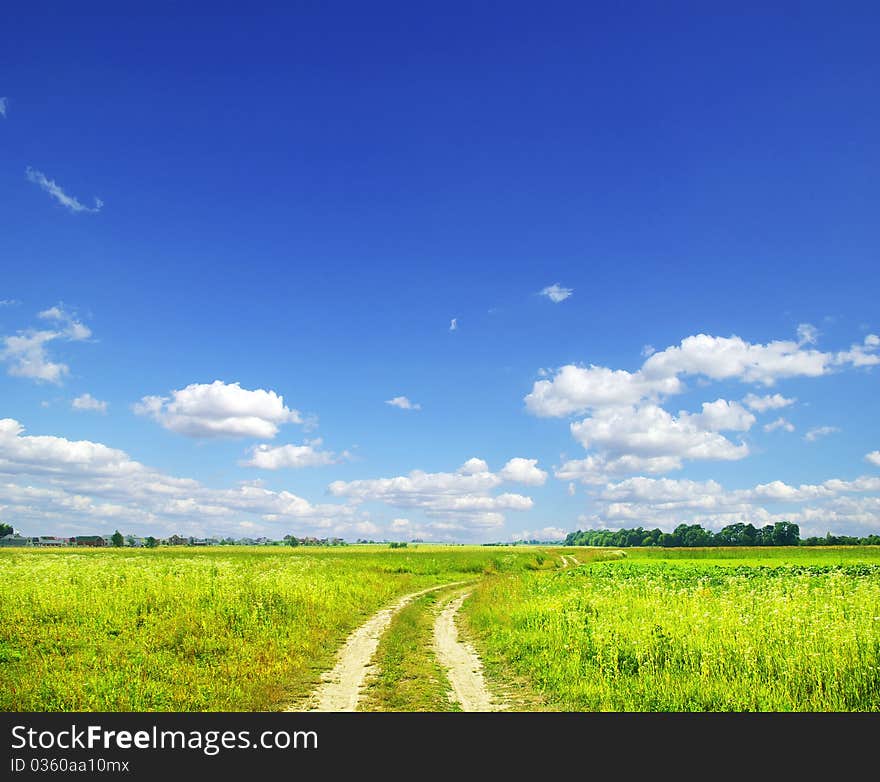 Field on a background of the blue sky