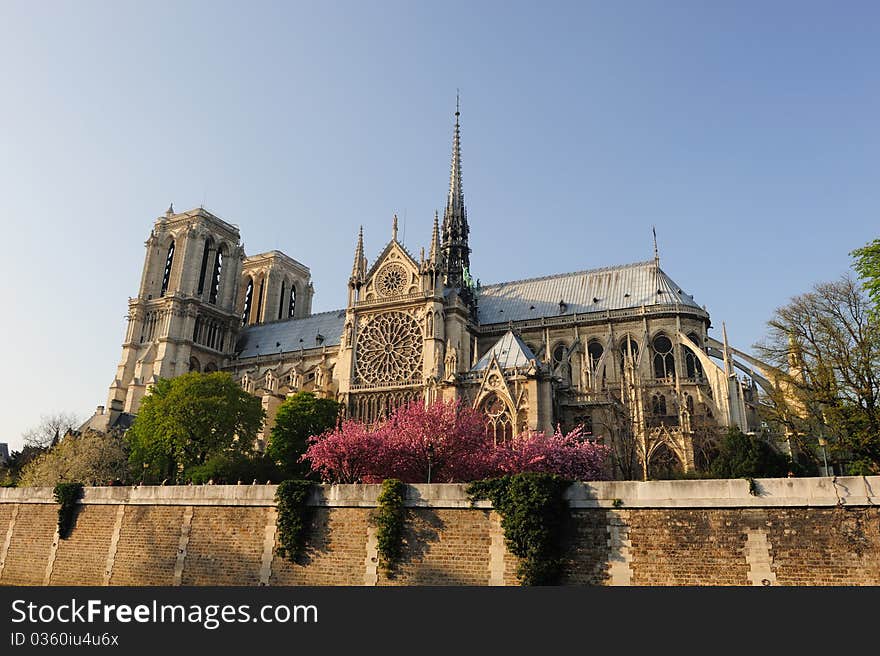 Notredame Cathedral, Paris