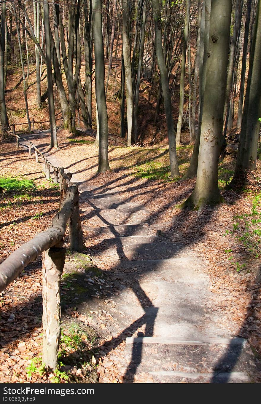 Wooden Stairs On A Hill