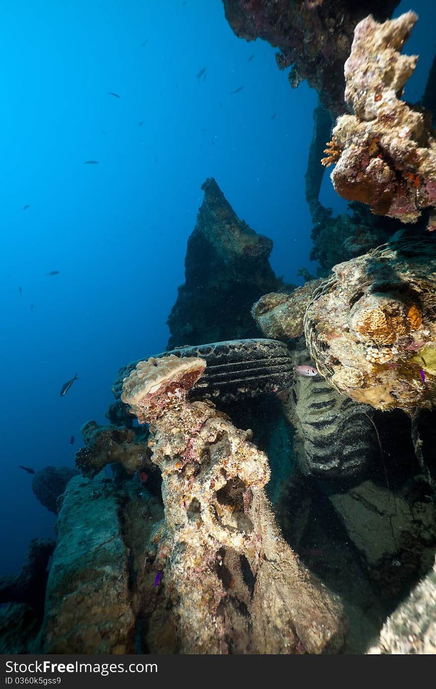 Debris on the SS Thistlegorm.