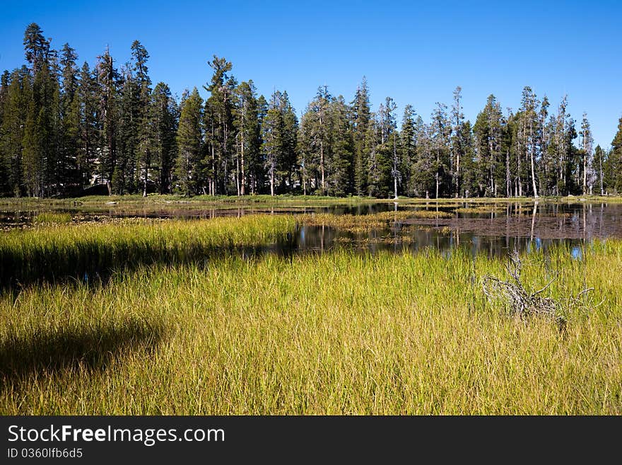 Siesta Lake, Yosemite National Park in California, USA