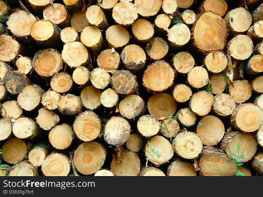 Pile of cut logs