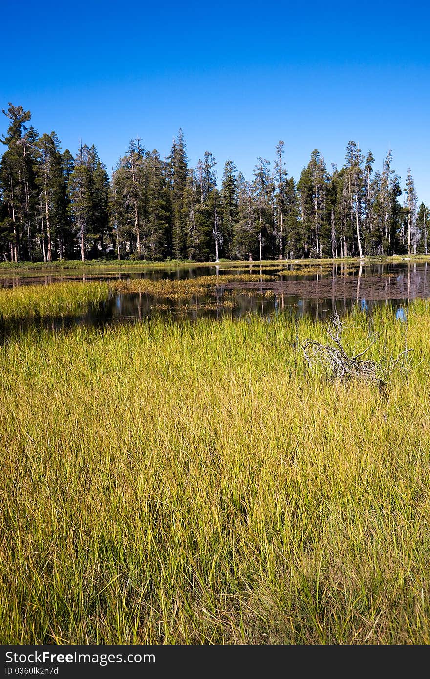 Siesta Lake