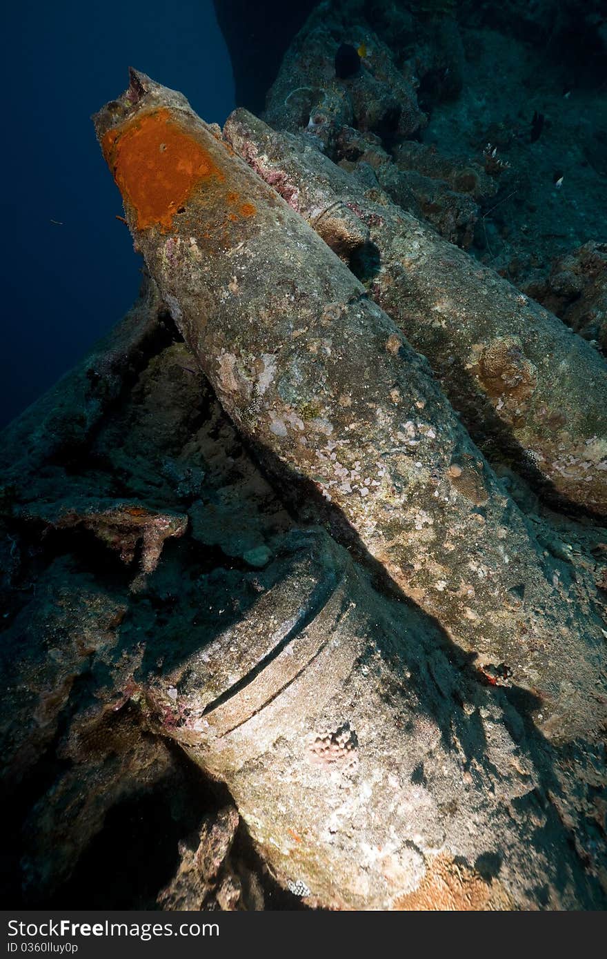 15   shells on the SS Thistlegorm.