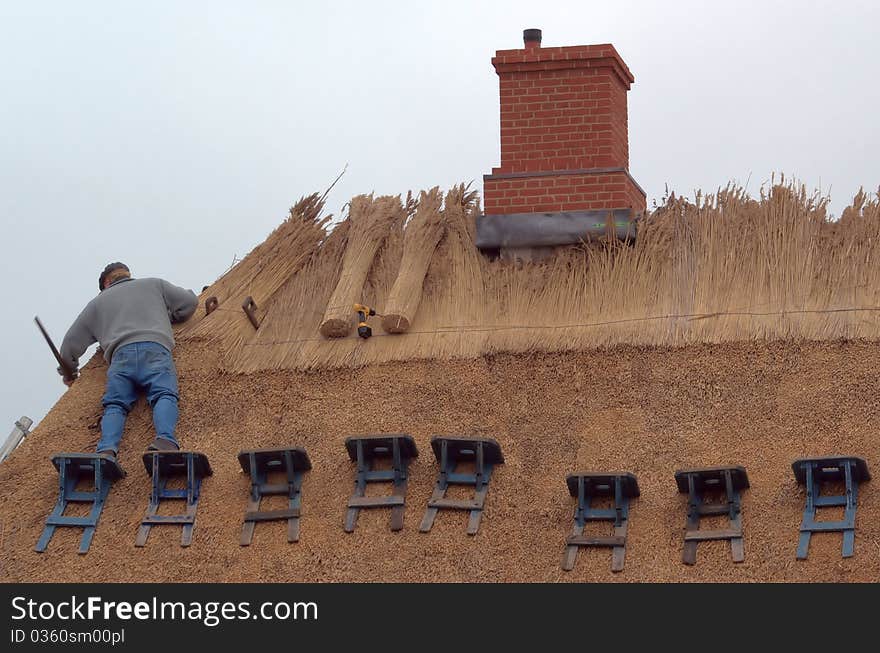 Thatching the roof