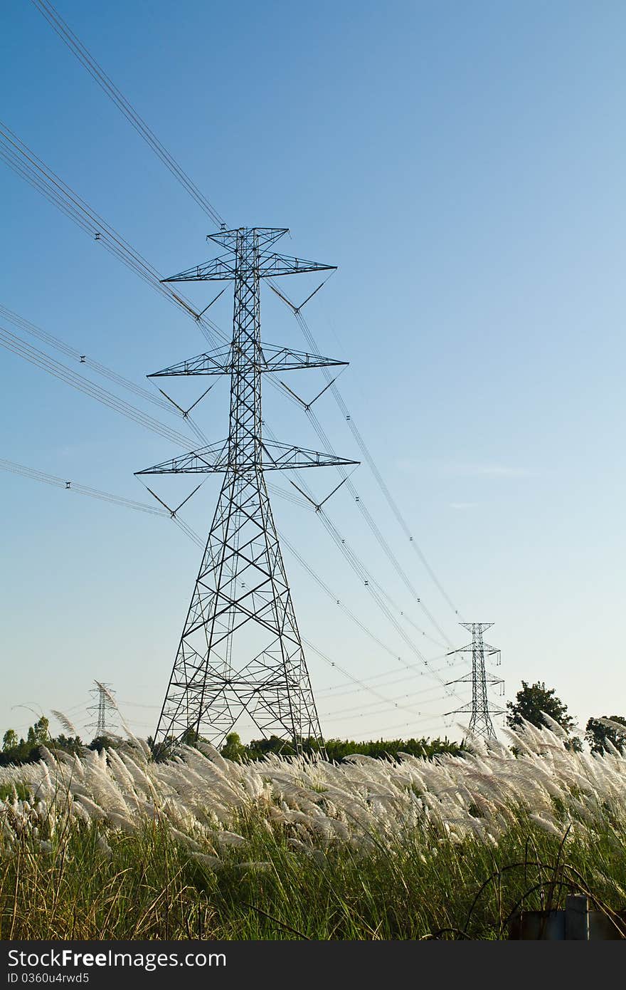 Electricity tower across the reed field