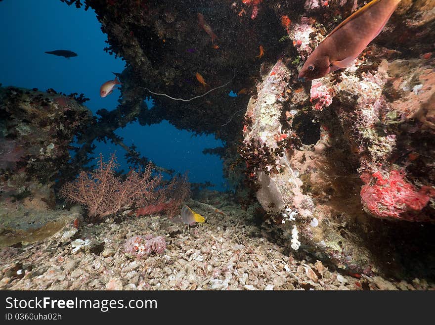 Coal tender on the SS Thistlegorm.