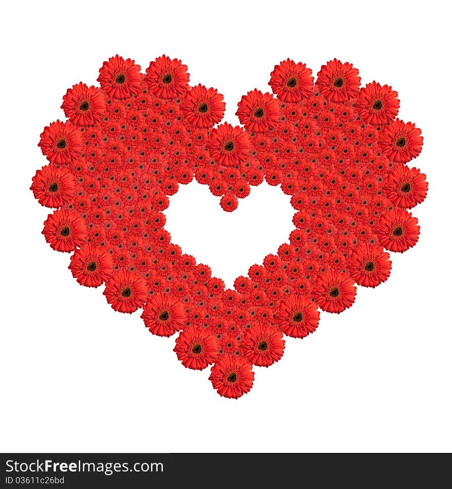 Heart from red gerbera flowers isolated on white background. Valentine's Day