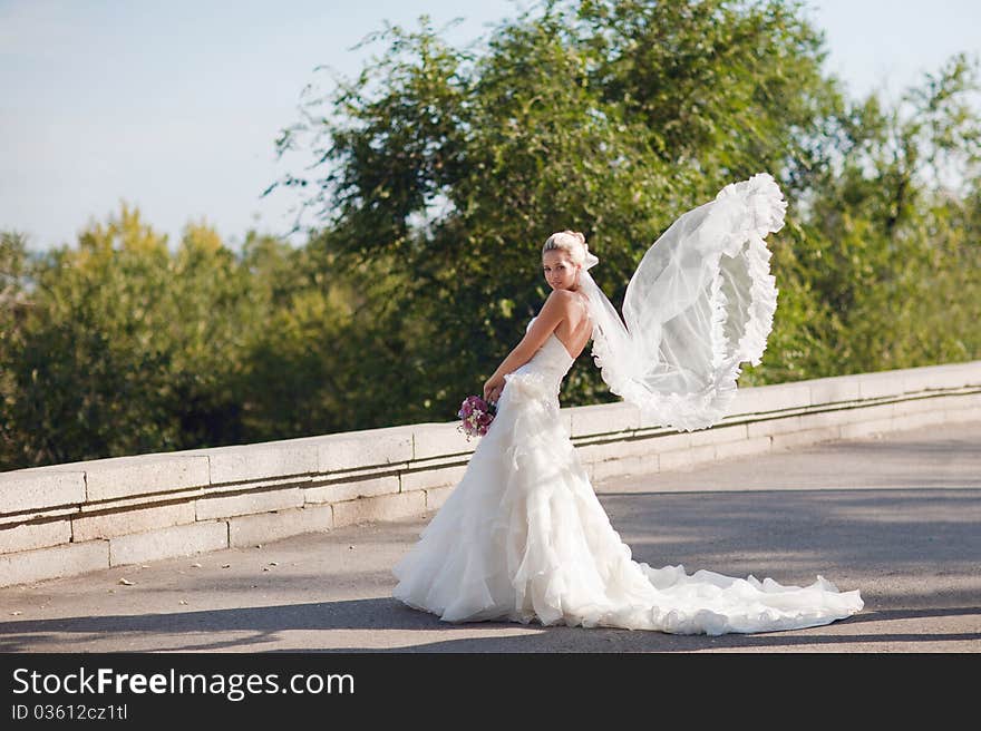 Bride with flying veil as wings. Bride with flying veil as wings