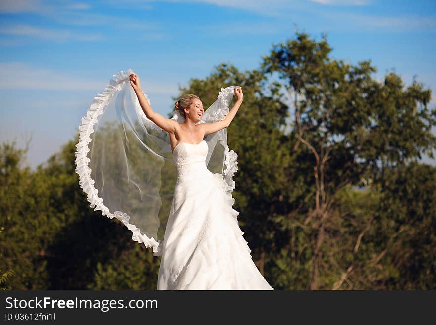 Bride with veil in form of wings