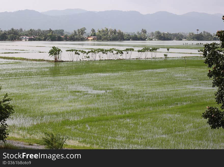 Flood at Kuala Perlis ,Perlis,Malaysia