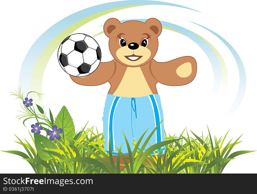 Bruin with soccer ball on the meadow. Illustration