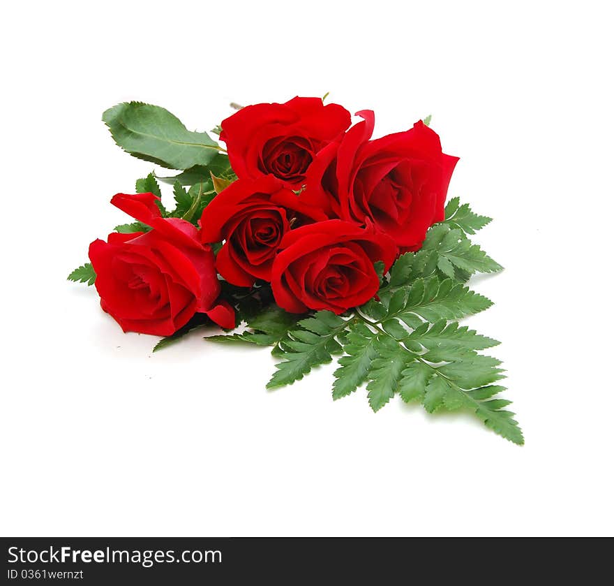 Rose flowers gift isolated background