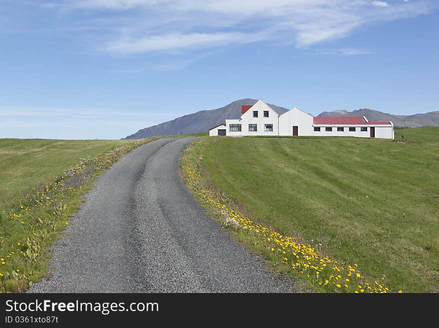 Beautiful Summer Picture From Iceland