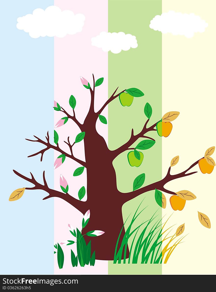 Four seasons of apple tree, on vertical strip background. Four seasons of apple tree, on vertical strip background