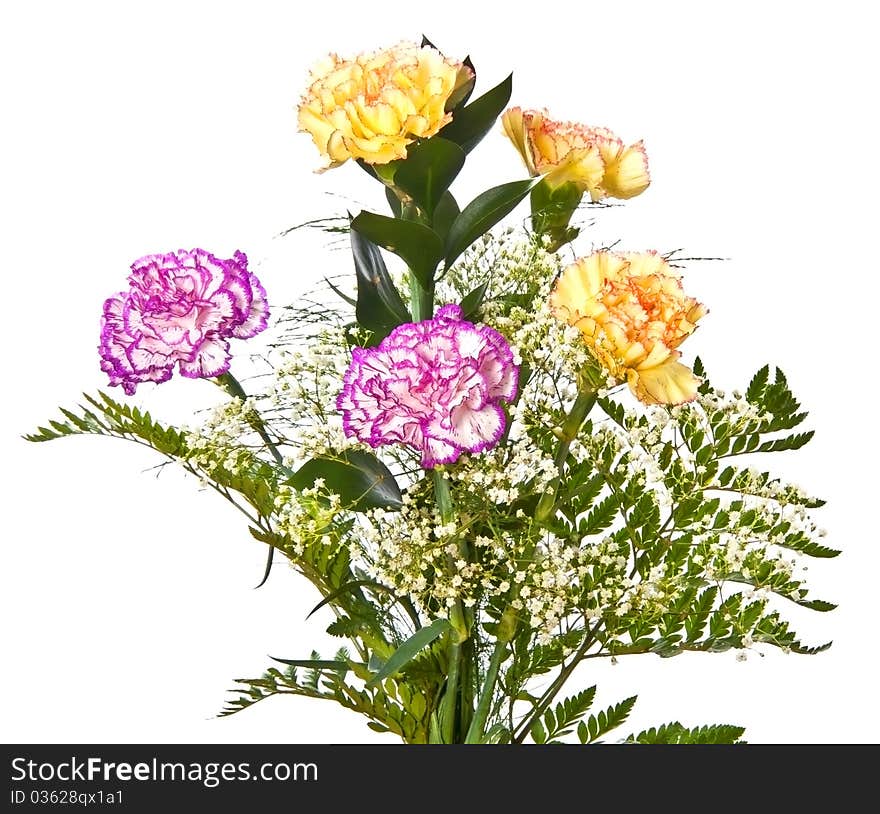 Bunch of carnations isolated on white