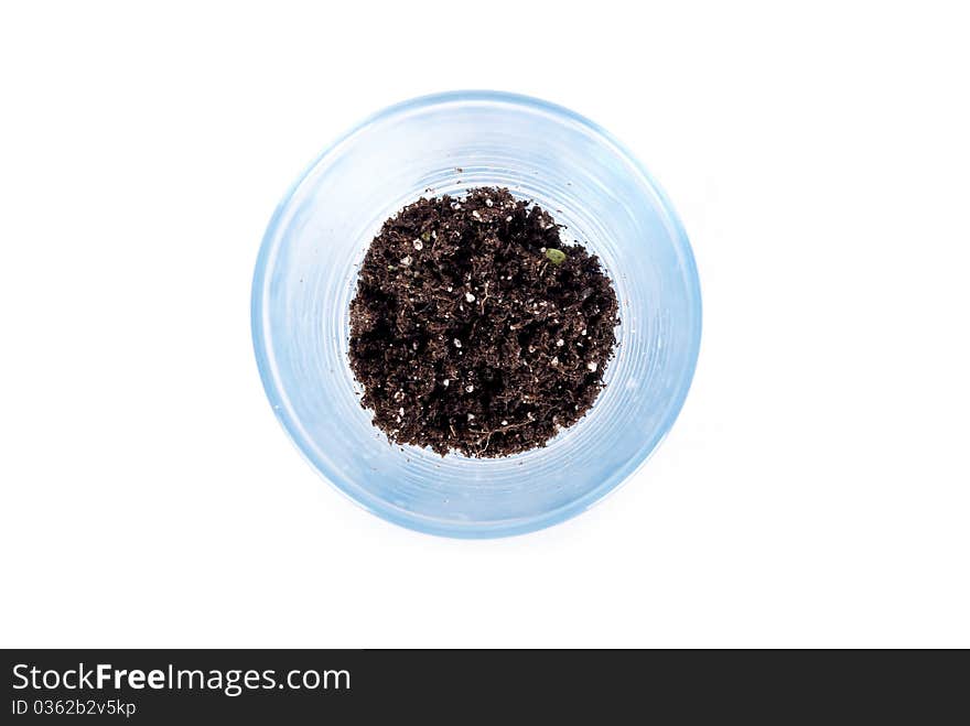 Soil in glass