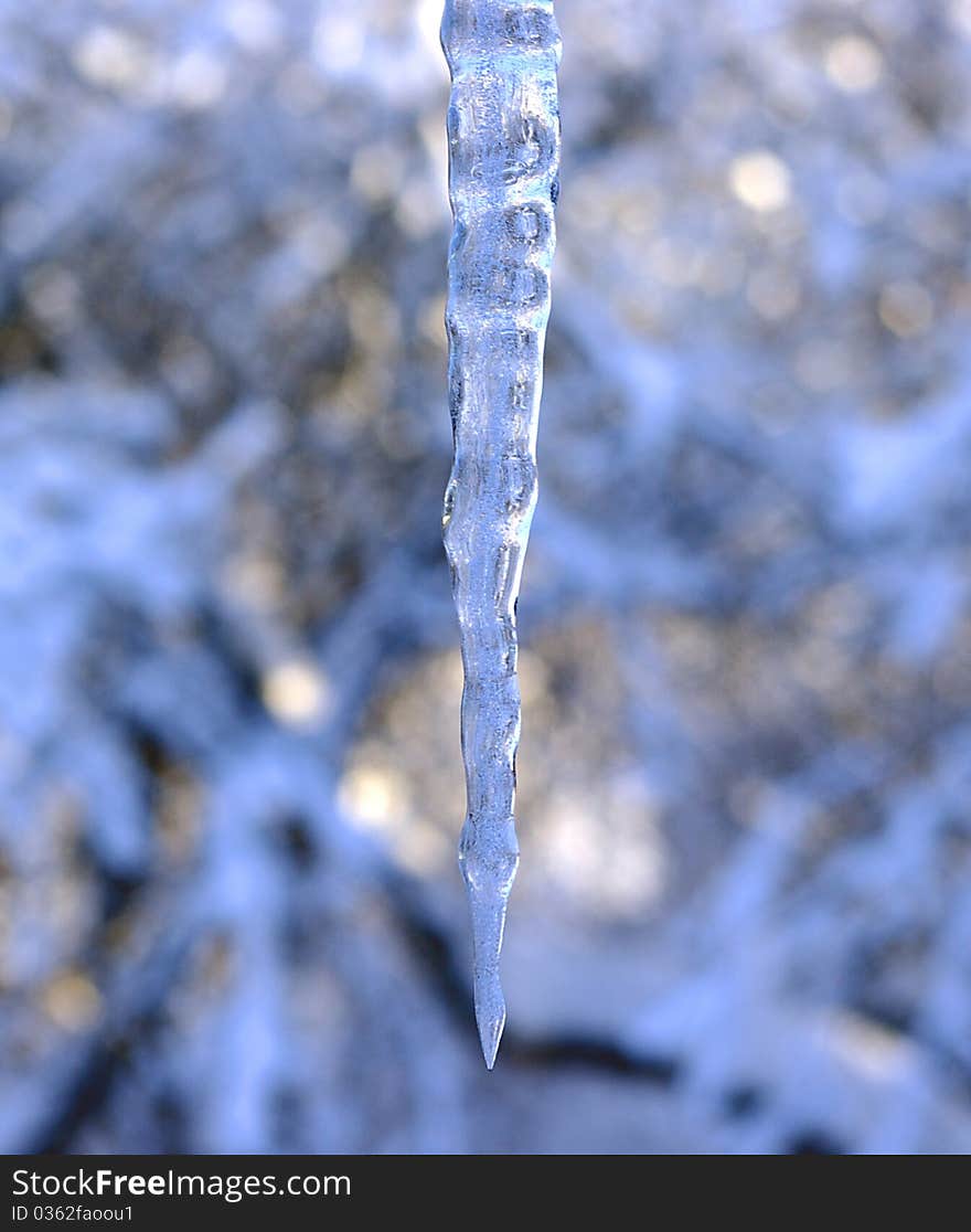 Brilliant icicle in winter at a blur background