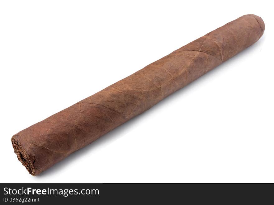 Cigar on a white background