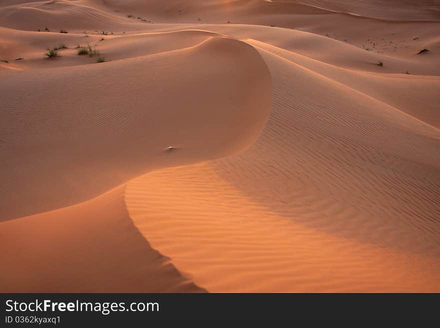 The sand dunes in the eastern desert