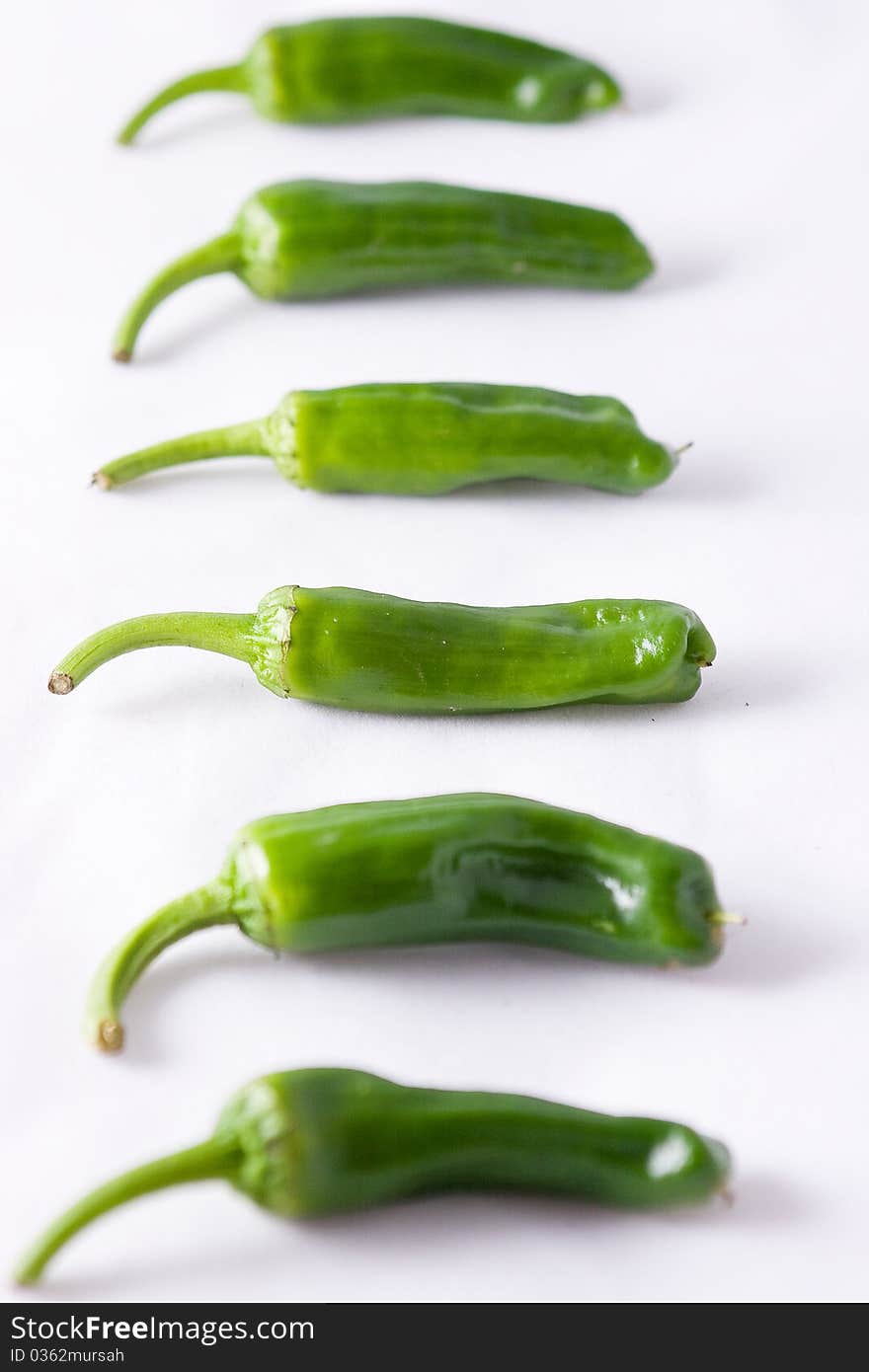 Green Spanish padron peppers in a line on a light background