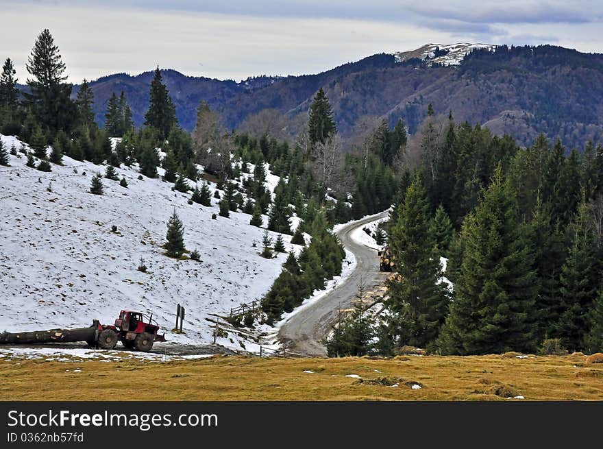 Working tractor in the forest