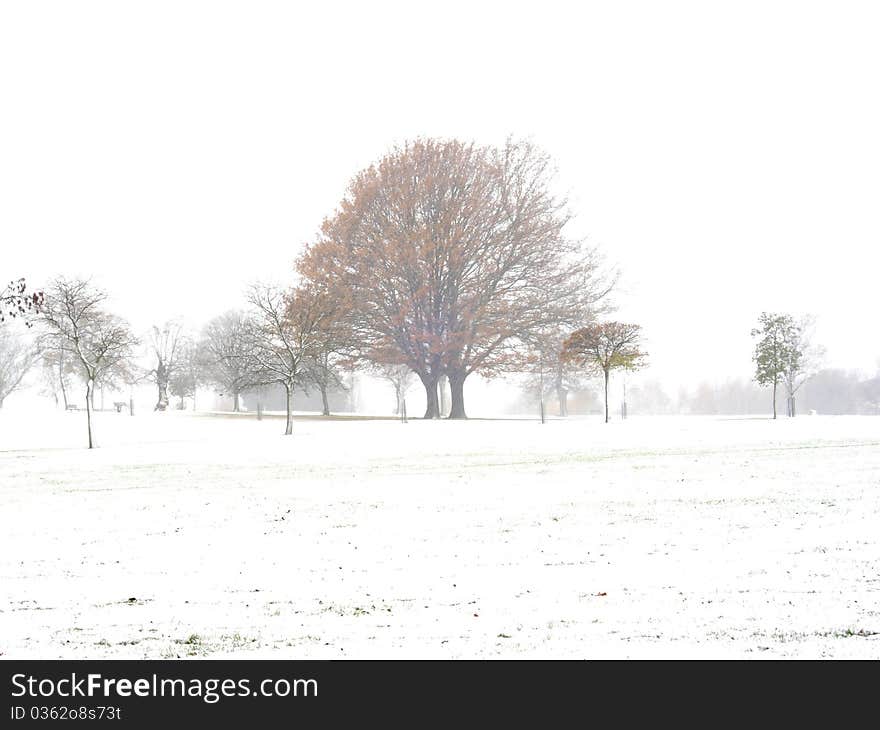 Early winter snow scene with autumn tree