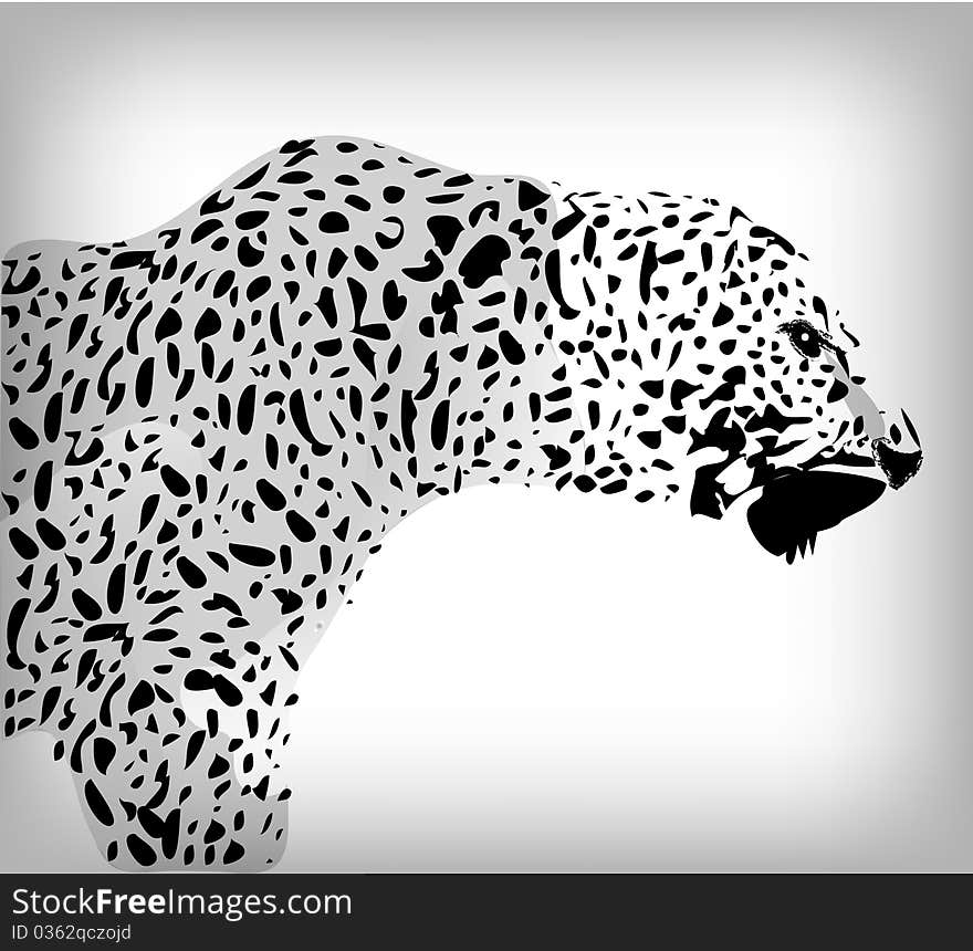 Leopard, abstract background