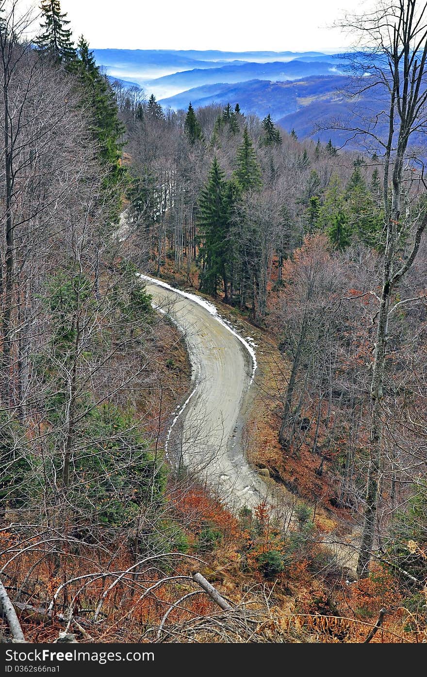 Winding road in autumn forest