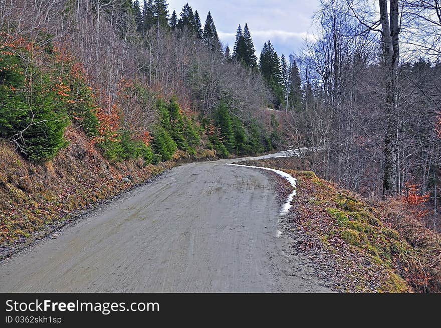 Muddy forest road