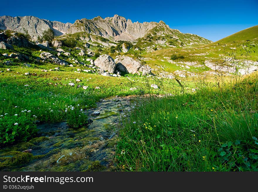 A brook in the mountain