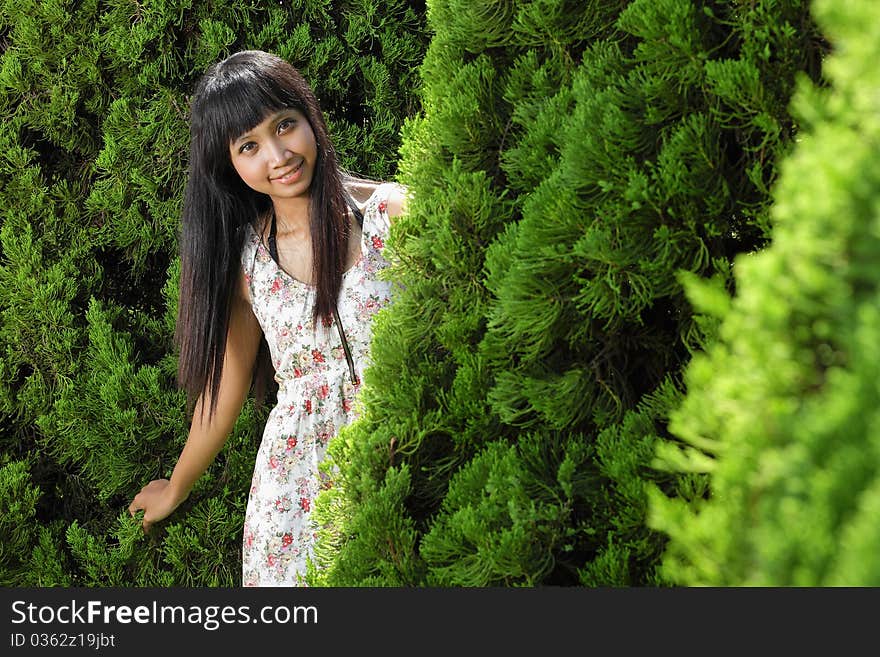 Young beautiful girl hiding and smiling outdoor near pine tree. Young beautiful girl hiding and smiling outdoor near pine tree