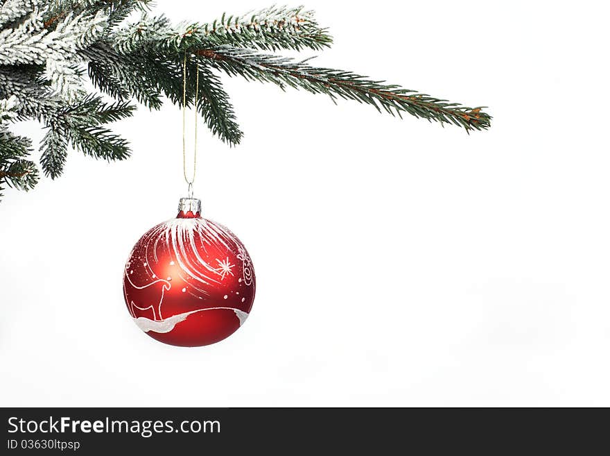 Christmas ball on christmas tree