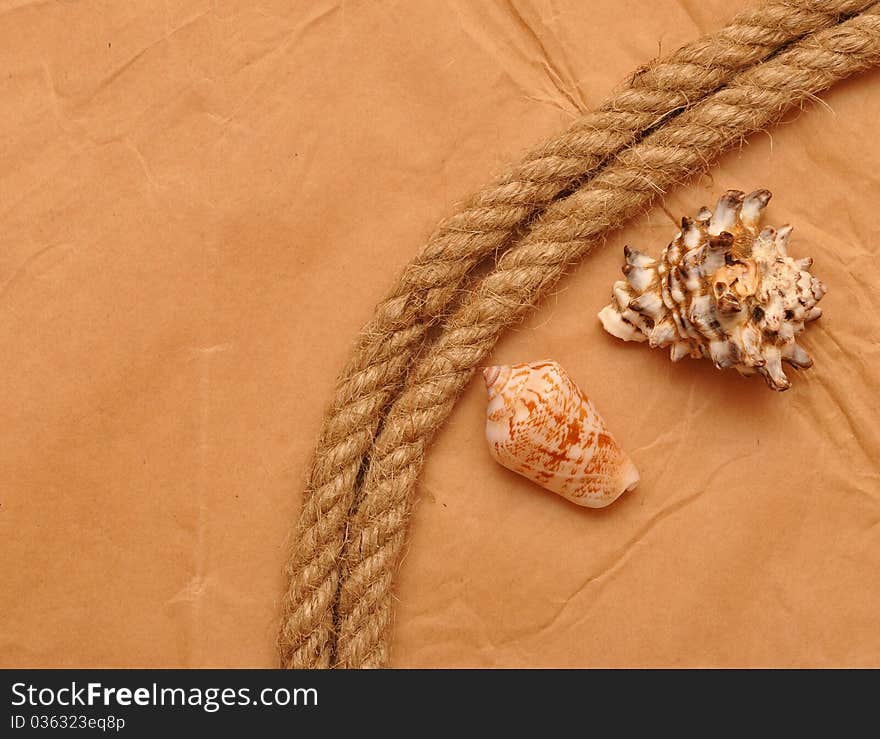 Shell and rope on paper. Shell and rope on paper