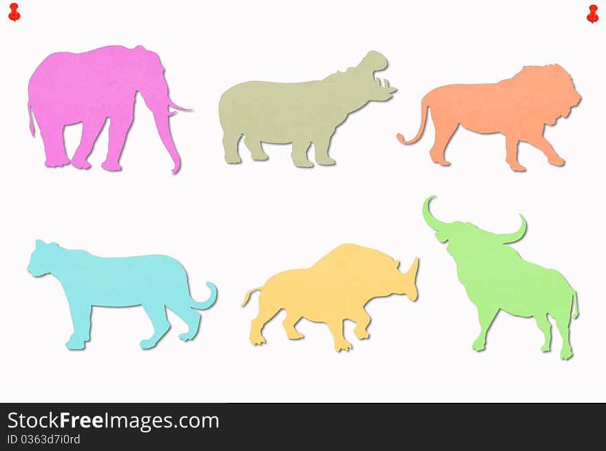 Animals colored notes