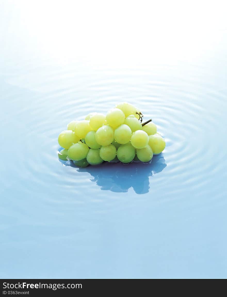 A cluster of white grapes sitting in a shallow pool of water. A cluster of white grapes sitting in a shallow pool of water.