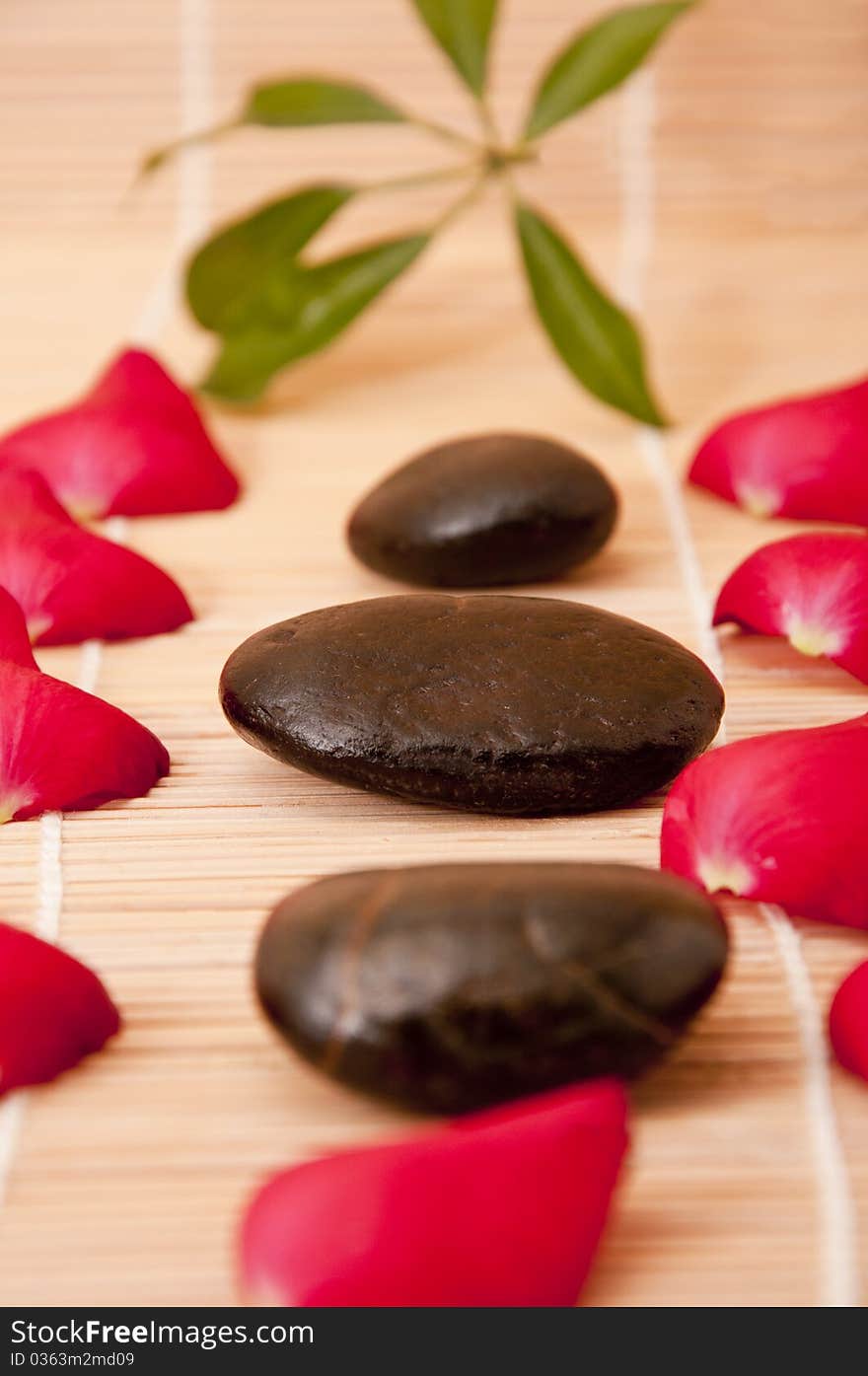 Spa stones with flower petals