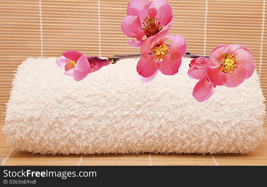 Spa scene with a towel and aromatic petals