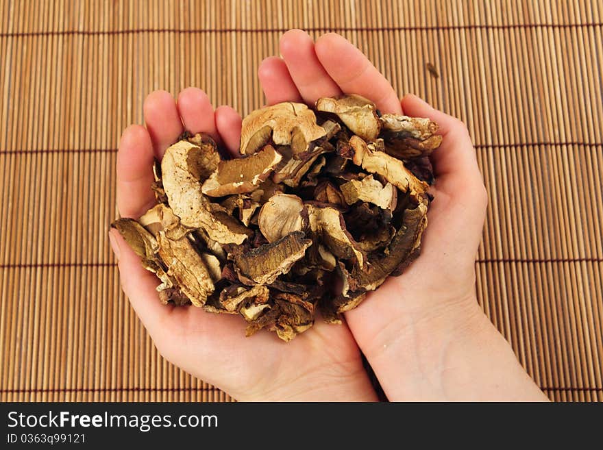 Dried Porcini Mushrooms