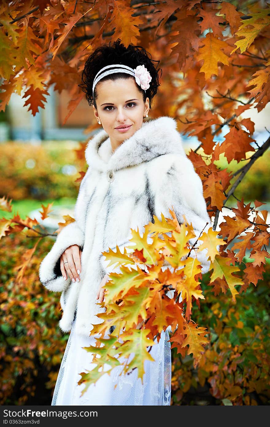 Elegant bride in autumn park on wedding walk. Elegant bride in autumn park on wedding walk