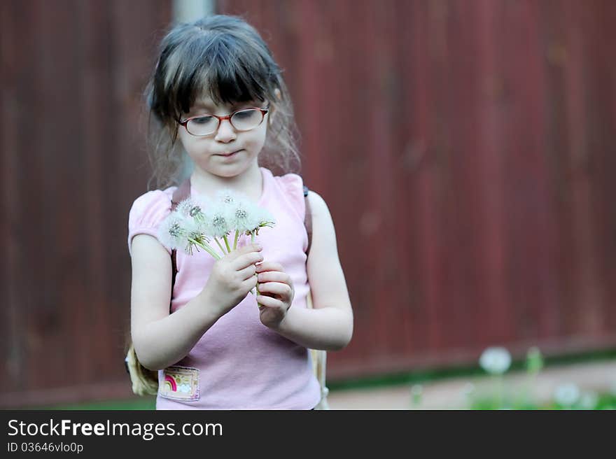 Adorable little girl  with  dandelions