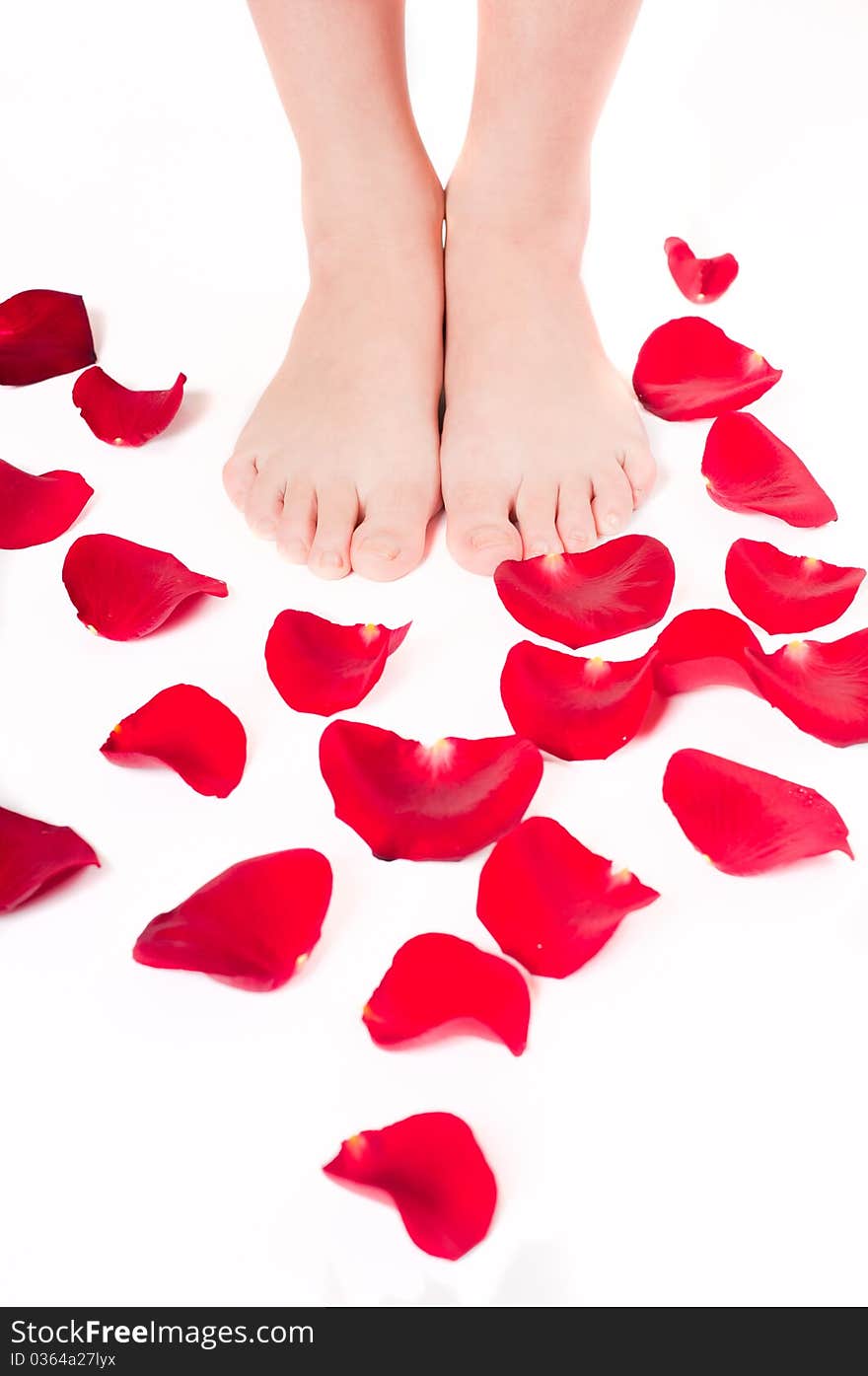 Beautiful Woman Legs With Rose Petals