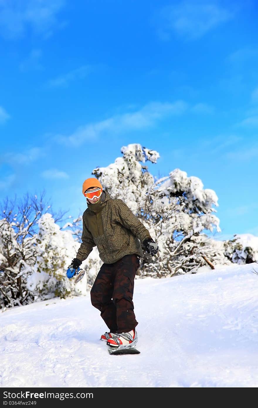 Snowboarder moves down the slope on a background of snow-covered trees