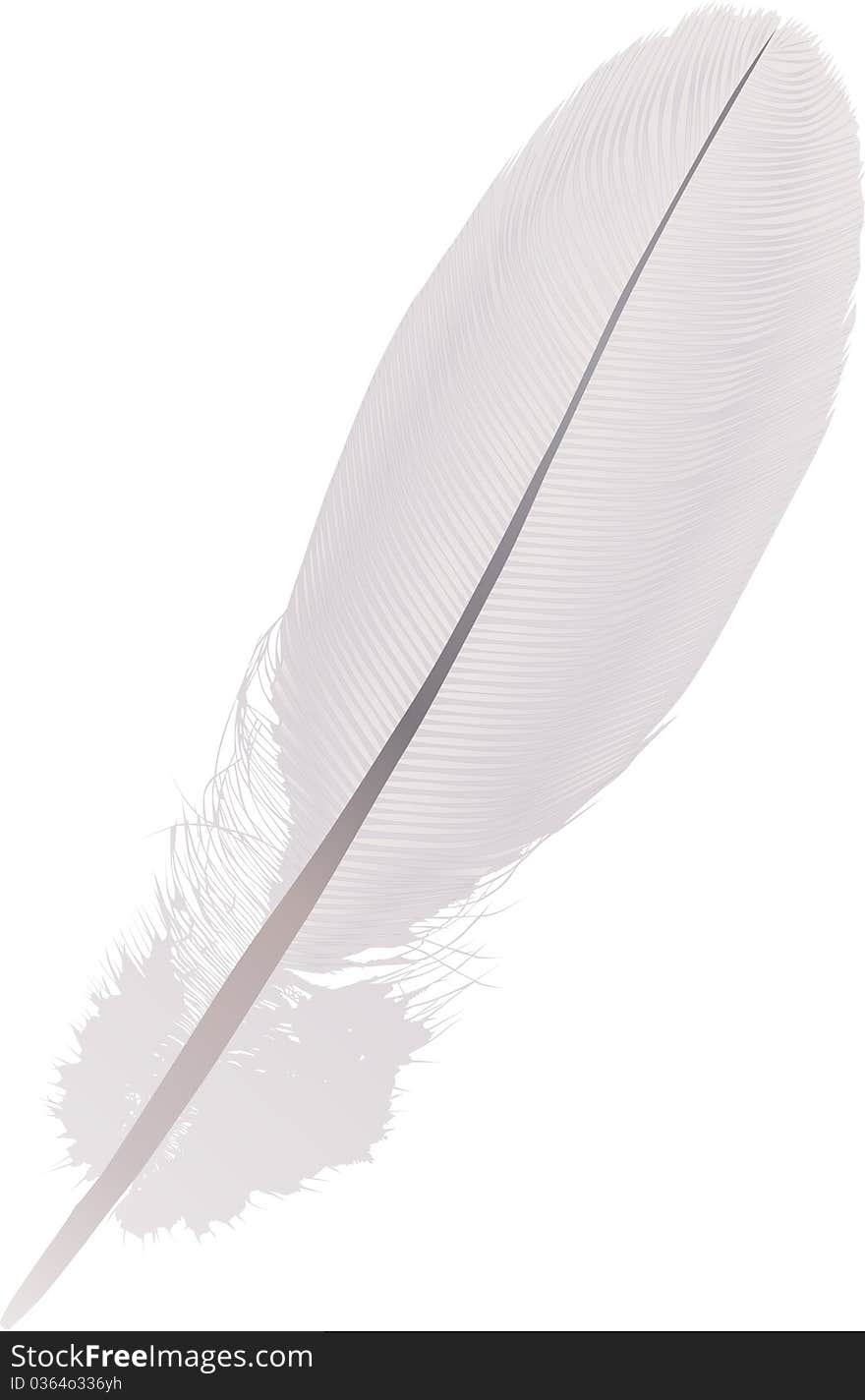 Detailed isolated feather illustration