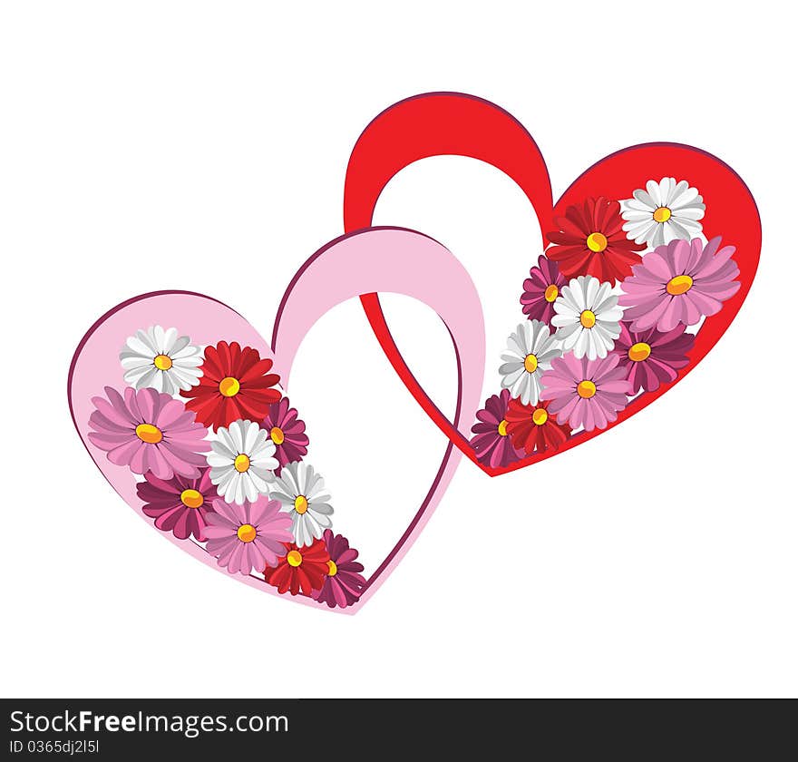 Illustration of decorative heart with the daisies against the white background. Illustration of decorative heart with the daisies against the white background