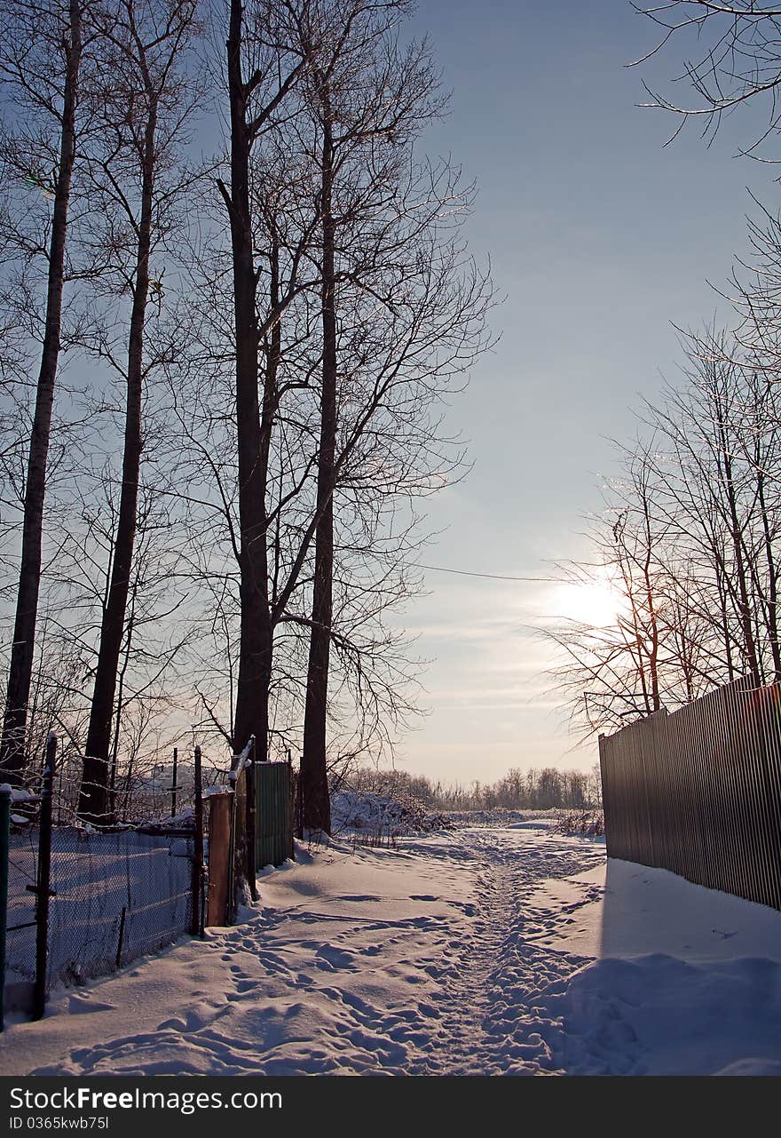 The sun on winter rural road