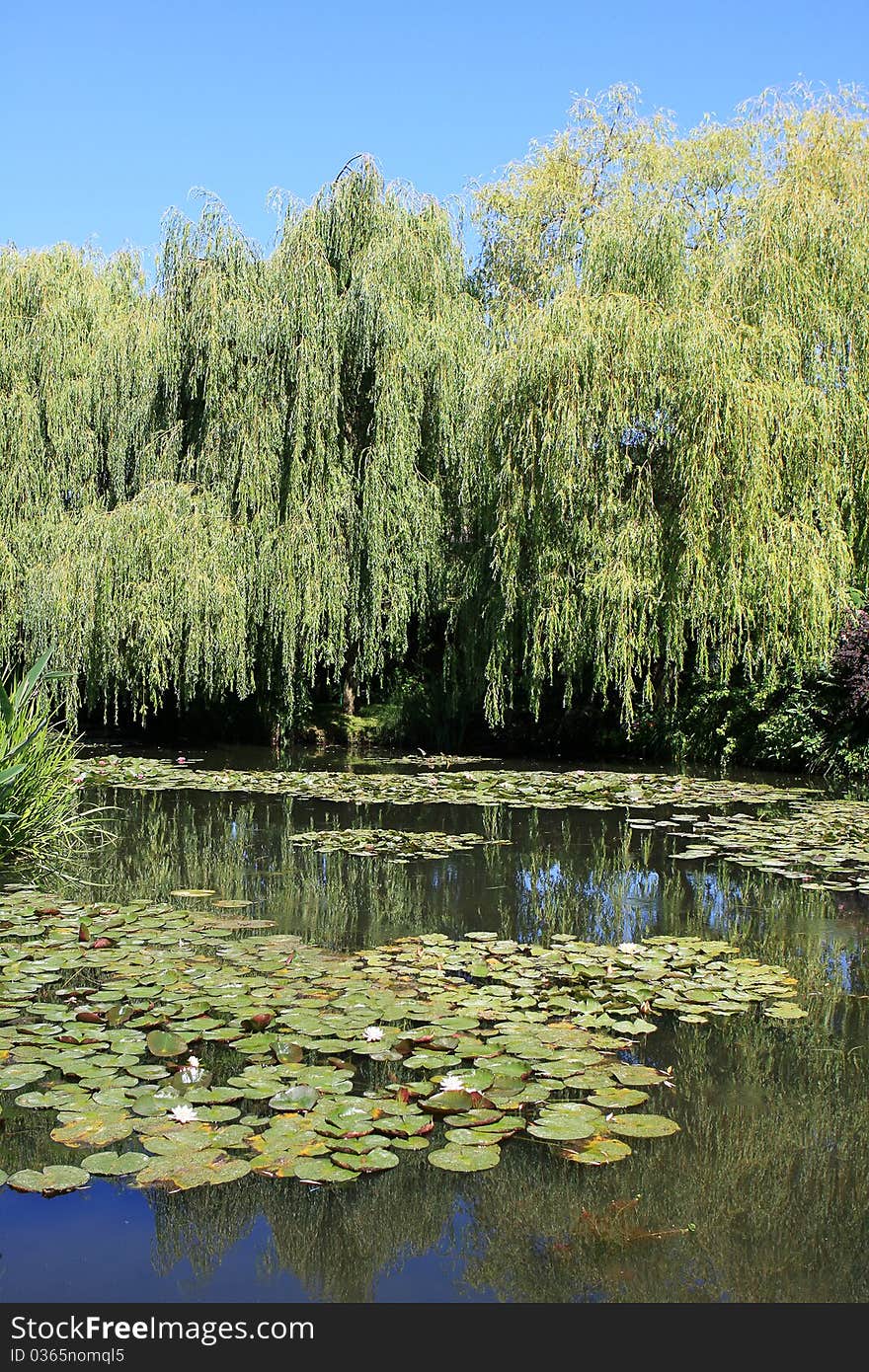 Pond with a water lilies at the Claud Monet`s garden, Giverny, France. Pond with a water lilies at the Claud Monet`s garden, Giverny, France